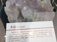 -中国第四纪冰川遗迹陈列馆