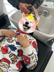 -东方麒麟·潘多拉SALON