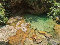 -南海湾森林生态园