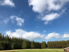 -黄海国家森林公园