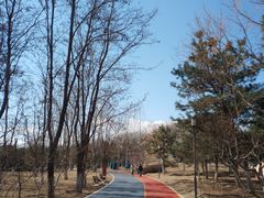 -大兴滨河森林公园