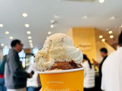-Patagonia Chocolates(皇后镇店)