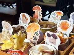 -菌自由丨野生菌火锅特色庭院餐厅(丽江古城店)