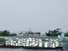 -南京眼步行桥