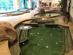 -天目湖涵田半山温泉