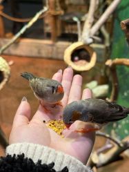 -Zoolung Zoolung动物主题公园(海信广场店)