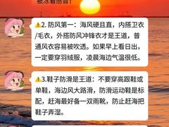 -日照海滨国家森林公园