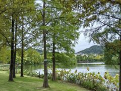 -浙江农林大学(东湖校区)