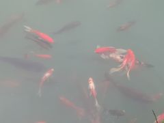-达蓬山旅游度假区