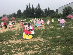 -曲江薰衣草庄园