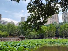 -龙头寺公园