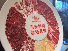 -手选潮汕鲜牛肉火锅(二七广场店)