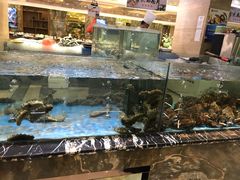 -上和臻品中国菜(花园街店)