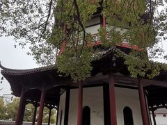 -绳金塔