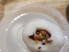 -海丝金凤(金鱼店)