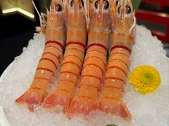 -大葉日本料理·龍蝦任食放題(廣州W酒店)