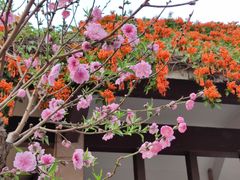 -桃花涧