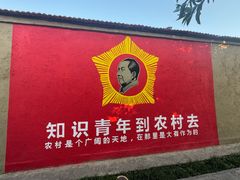 -特克斯八卦城