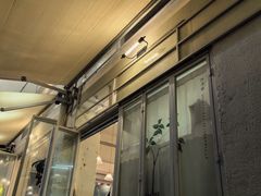-绿小院(荔湾店)