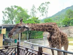 -泉州海丝野生动物世界