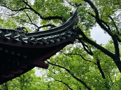 -天一阁博物院
