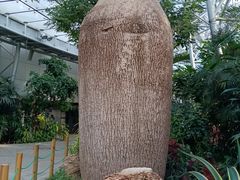 -北京植物园-展览温室