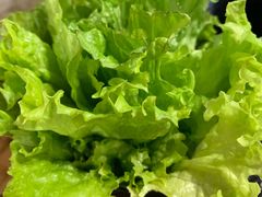 -九田家黑牛烤肉料理(中北镇店)