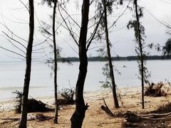 -东郊椰林