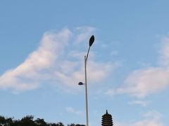 -高尔山公园
