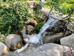 -老张烤羊(王哥庄店)