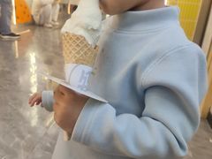 -野人先生现做冰淇淋(西安赛格店)