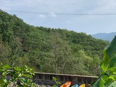 -西双版纳基诺山寨