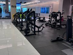 -章鱼健身 Octopus