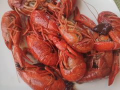 -视界美食自助餐厅·石家庄希尔顿酒店