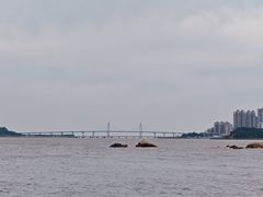 -野狸岛