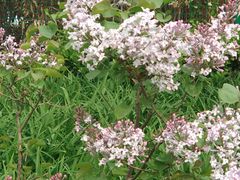 -廊坊文化艺术中心