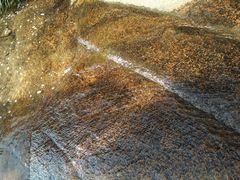 -金鸡山公园
