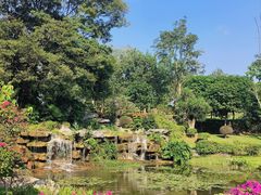 -东莞植物园
