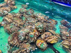 -初色海鲜自助(万丰路店)