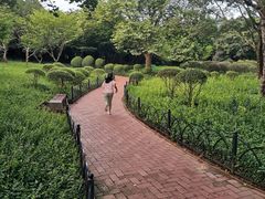 -八大关景区