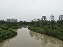 -中国扬子鳄村