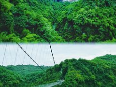 -川西竹海景区