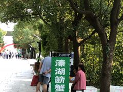 -溱湖国家湿地公园