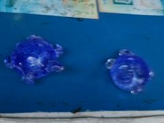 -日照海滨国家森林公园