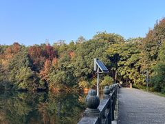 -杭州半山国家森林公园