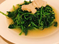 -皇朝会.经典传统粤菜(外滩店)