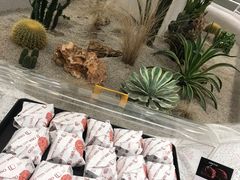 -OUR Bakery(SKP-S店)