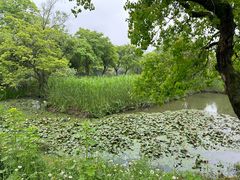 -西溪国家湿地公园