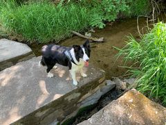 -碓臼峪自然风景区