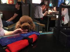 -鸣记脆皮烤鱼·海鲜烤鱼(三八广场店)